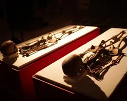 Os restos ósseos (foto National Geographic)