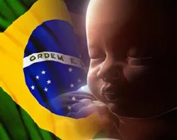 montagem  com bandeira do Brasil e feto