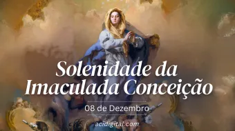 Solenidade da Imaculada Conceição