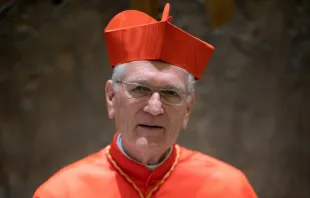 Cardeal Leonardo Steiner