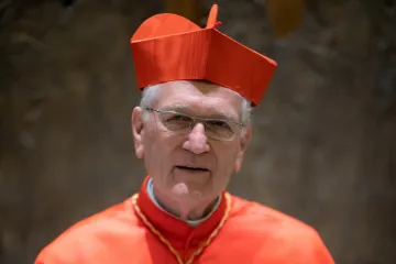 cardeal Leonardo Steiner