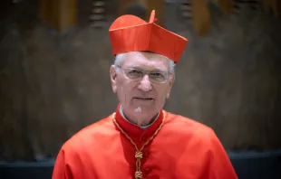 O arcebispo de Manaus, Cardeal Leonardo Ulrich Steiner.