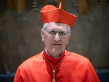 Cardeal Leonardo Steiner, arcebispo de Manaus