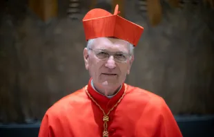 Cardeal Leonardo Steiner, arcebispo de Manaus