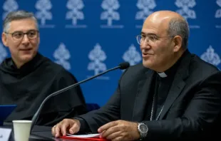 Cardeal Tolentino de Mendonça durante coletiva de imprensa desta manhã