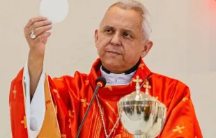 Dom Eugênio Barbosa Martins será o delegado do Brasil para o 53º Congresso Eucarístico Internacional, em Quito, no Equador