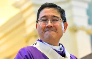 Dom Julio Endi Akamine