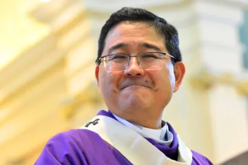 Dom Julio Endi Akamine