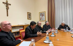 Presidência da CNBB em reunião com o Dicastério para o Clero no dia 4 de fevereiro de 2025.