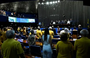 Sessão especial do Senado em homenagem às Equipes de Nossa Senhora
