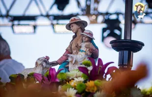 Nossa Senhora Divina Pastora.