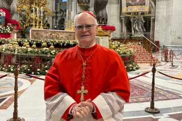 Cardeal Odilo Scherer