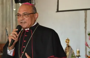 Dom Pedro Brito Guimarães, arcebispo de Palmas (TO)