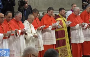 Alguns dos 21 novos cardeais da Igreja Católica, que foram criados hoje pelo papa Francisco num consistório ordinário público na basílica de São Pedro, no Vaticano