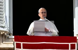 O papa Leão XIV prega durante a oração do Ângelus da janela do Palácio Apostólico