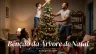 Benção da Árvore de Natal
