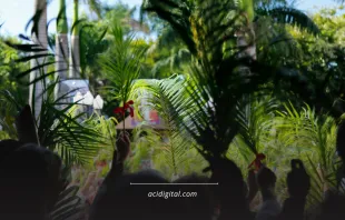 Palmas no Domingo de Ramos