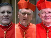 Os cardeais Paulo Cezar Costa, Leonardo Steiner e Jaime Spengler