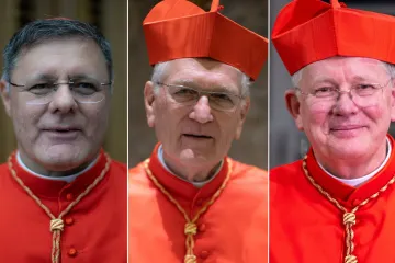 Os cardeais Paulo Cezar Costa, Leonardo Steiner e Jaime Spengler