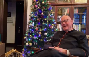 Cardeal Timothy Dolan, Arcebispo de Nova York.