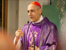 O cardeal Víctor Manuel Fernández