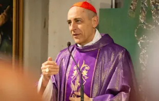 O cardeal Víctor Manuel Fernández