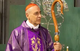 Cardeal Víctor Manuel “Tucho” Fernández, prefeito do Dicastério para a Doutrina da Fé e autor do livro “A Paixão Mística: Espiritualidade e Sensualidade”.