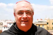 Cardeal José Luis Lacunza.