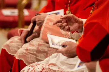 Cardeais durante o consistório de 5 de outubro de 2019.