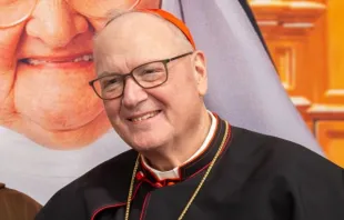 O arcebispo de Nova York, o cardeal Timothy Dolan.
