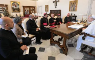 Os membros da Comissão Episcopal para Ação Missionária e Cooperação Intereclesial da Conferência Nacional dos Bispos do Brasil (CNBB) reunidos com o papa Leão XIV.