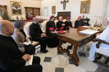 Os membros da Comissão Episcopal para Ação Missionária e Cooperação Intereclesial da Conferência Nacional dos Bispos do Brasil (CNBB) reunidos com o papa Leão XIV.