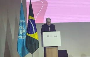 O arcebispo Giambattista Diquattro, núncio apostólico no Brasil e chefe adjunto da delegação da Santa Sé na COP 30.
