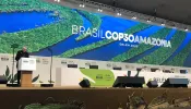 Papel da Igreja é conscientizar sobre mudanças climáticas e dar resposta ética, diz cardeal na COP30
