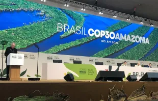 Cardeal Pietro Parolin na COP30.