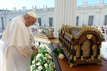 Papa Francisco Santa Teresinha