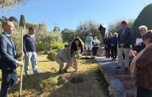 Jovens portugueses plantam árvore no Borgo Laudato si'