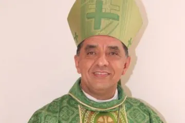 Dom Benedito Araújo