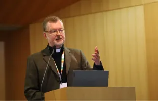 Padre Hans Zollner