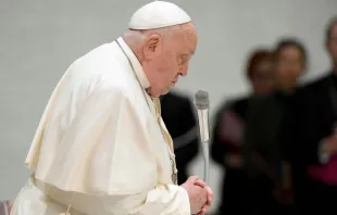 Papa Francisco na Audiência Geral de 12 de fevereiro, no Vaticano