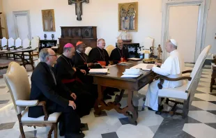 Os presidentes do CELAM,  da FABC e do SECAM entregaram hoje (1º) ao papa Leão XIV o documento “Um Apelo pela Justiça Climática e a Casa Comum"