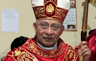 Dom José Maria Chaves dos Reis, bispo de Abaetetuba (PA)