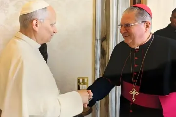 Papa Leão XIV e dom Rifan