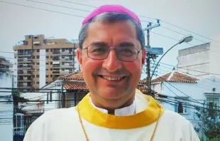 Dom Paulo Alves Romão, novo bispo de Paranaguá (PR)