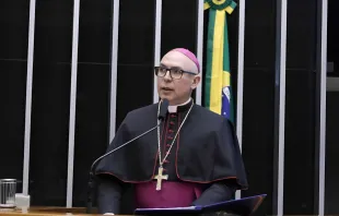 Dom Ricardo Hoepers, secretário-geral da CNBB participou ontem (25), da sessão solene na Câmara dos Deputados, em homenagem ao Dia Nacional da Ucrânia