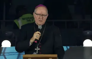 Dom Adair José Guimarães, bispo de Formosa (GO)