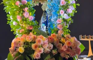 Festa de Nossa Senhora Aparecida 2024, em Brasília