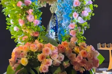 Festa de Nossa Senhora Aparecida em Brasília