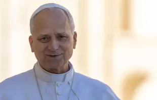 O papa durante a Audiência Geral de 8 de setembro de 2025.