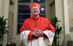 O cardeal Jaime Spengle